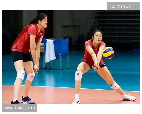 排球团队协作实力榜单公布上海排球队荣获第十名佳绩